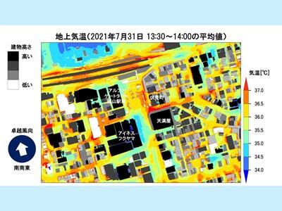 yokoyama1.jpg