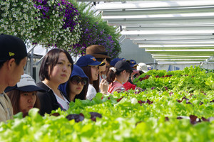 0714fig7.jpg