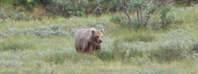 0718fig9.jpg