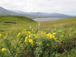 TP7190138.jpg