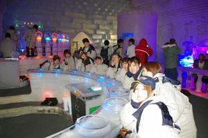 ice ber