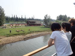 P7153235.JPG