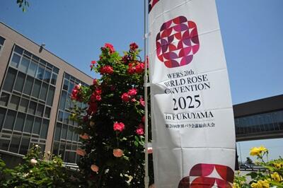 20240614honbun02.jpg