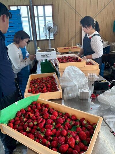 20260413honbun03.jpg